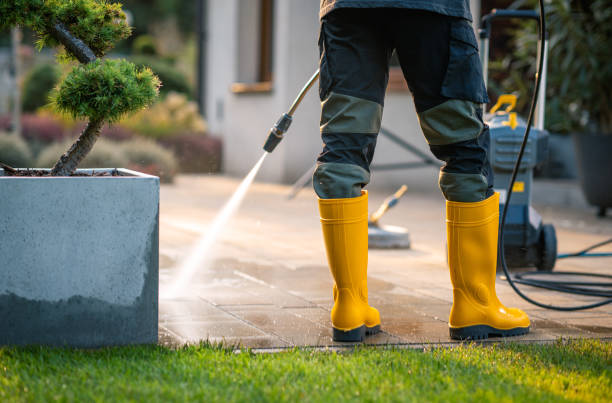 Best Roof Power Washing Services  in Bagdad, FL